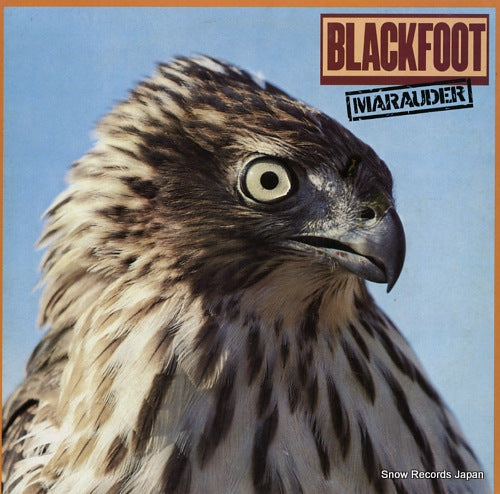 BLACKFOOT marauder P-11058T