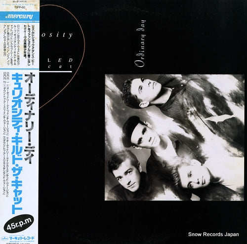 CURIOSITY KILLED THE CAT ordinary day 15PP-60