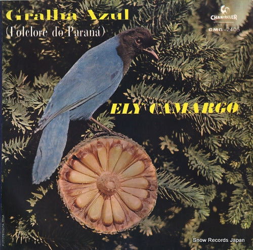CAMARGO, ELY gralha azul (folclore do parana) CMG-2405