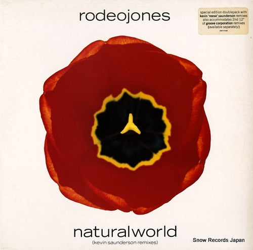 JONES, RODEO natural world (kevin saunderson remixes) AMY0165