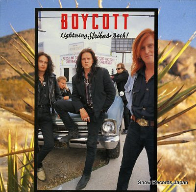 BOYCOTT lighting strikes back 4672041