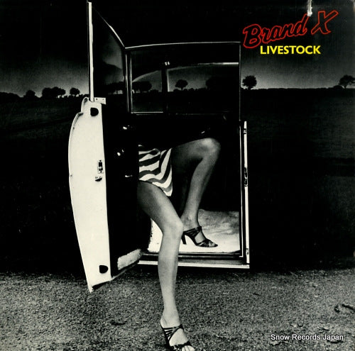 BRAND X livestock PB9824