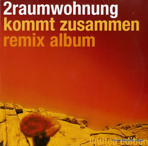2RAUMWOHNUNG kommt zusammen remix album IT.06
