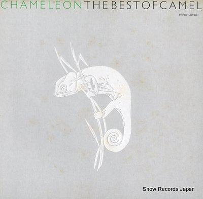 CAMEL chameleon the best of camel L25P1006