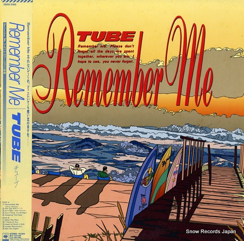 TUBE remember me 28AH5185