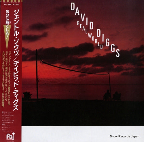 DIGGS, DAVID realworld VIJ-6407