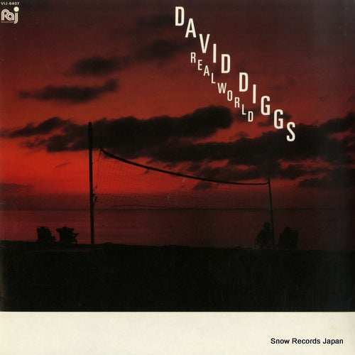 DIGGS, DAVID realworld VIJ-6407