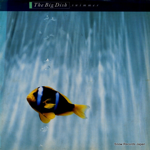 BIG DISH, THE swimmer V2374
