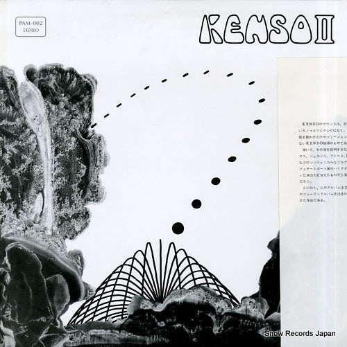 KENSO kenso 2 PAM-002