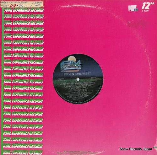 PAUL-PERRY, STEVEN under the latin moon (the remix) 2703-1-TPD