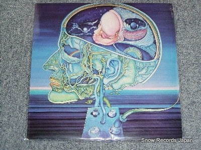 CLEARLIGHT clear light symphony V-2029