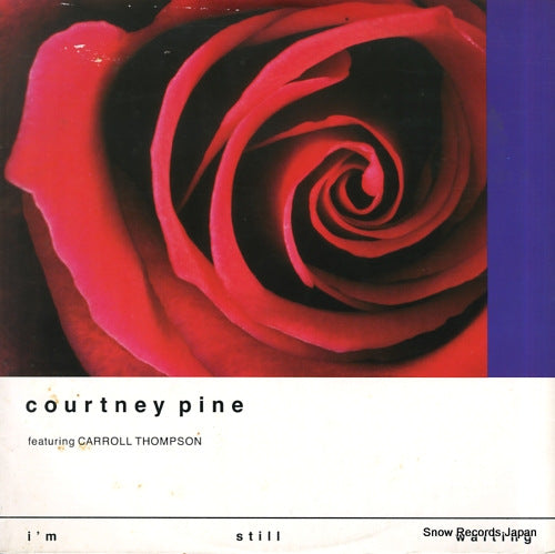 PINE, COURTNEY i'm still waiting 12MNG749