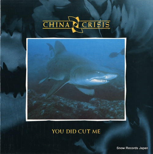 CHINA CRISIS you did cut me VS799-12