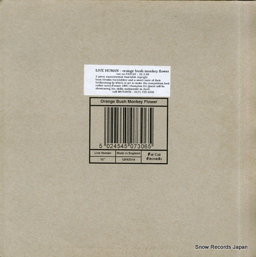 LIVE HUMAN orange bush monky flower 12FAT019