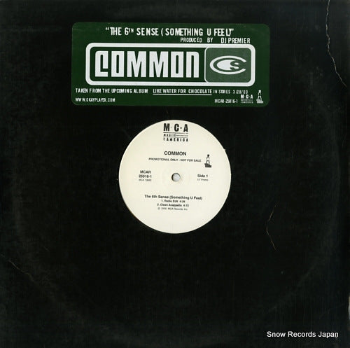 COMMON the 6th sense(something u feel) MCAR25016-1
