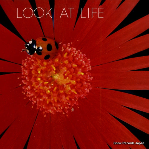 FISHER, MORGAN look at life SC-2004(L)