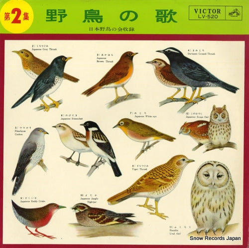 DOCUMENTARY japanese bird songs vol.2 LV-520