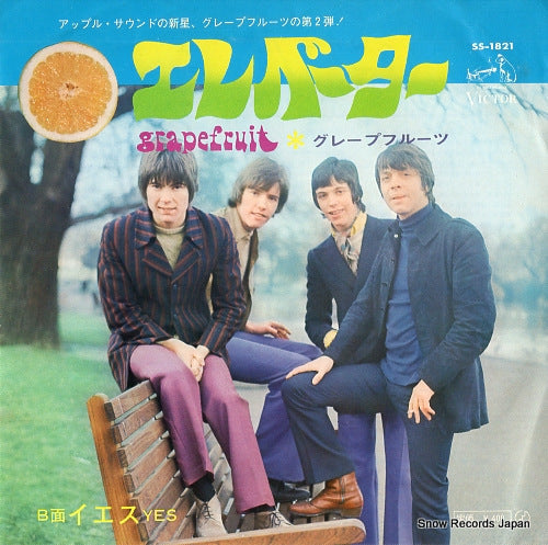 GRAPEFRUIT elevator SS-1821