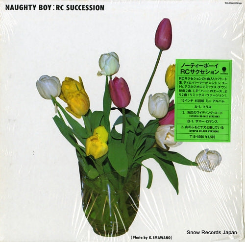 RC SUCCESSION naughty boy T15-5006