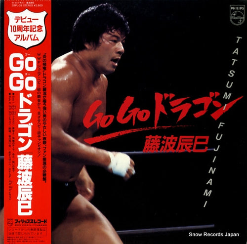 FUJINAMI, TATSUMI go go dragon 28PL-26