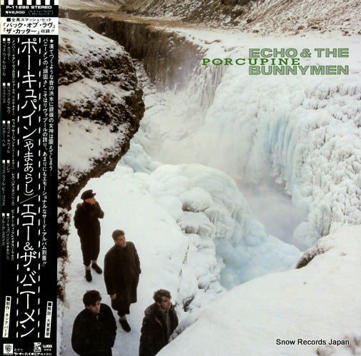 ECHO AND THE BUNNYMEN porcupine P-11288