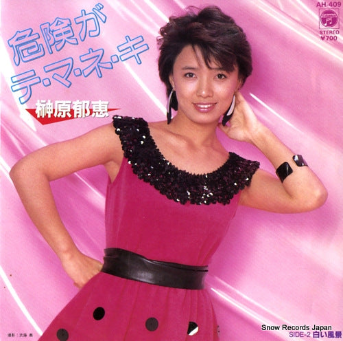 SAKAKIBARA, IKUE kiken ga temaneki AH-409