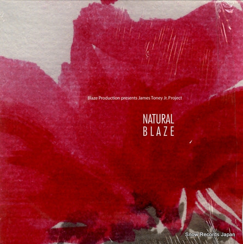 BLAZE natural blaze LLLP-1001