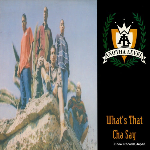 ANOTHA LEVEL what's that cha say PVL53848