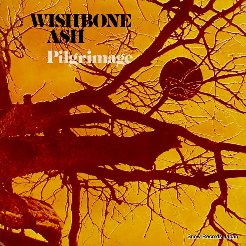 WISHBONE ASH pilgrimage MCG3504