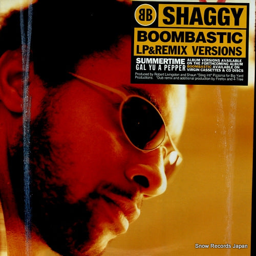 SHAGGY boombastic Y-38482