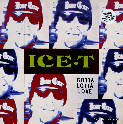 ICE-T gotta lotta love SYNDT3