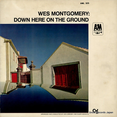 MONTGOMERY, WES down here on the ground AML-305