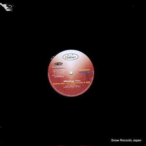 BEENIE MAN missing you CRT3526