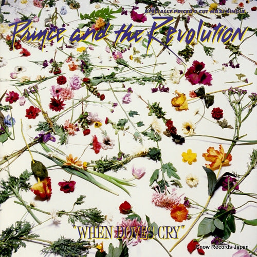 PRINCE AND THE REVOLUTION when doves cry 920228-0A