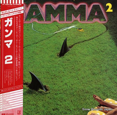 GAMMA 2 P-10918E