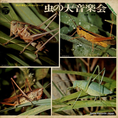 COLUMBIA SOUND LIBRARY mushi no daiongakukai JX-1031