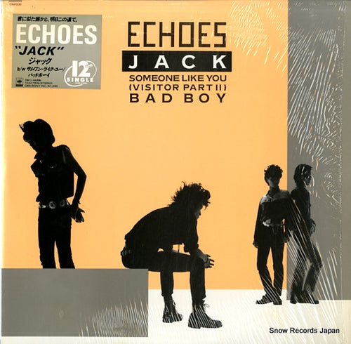ECHOES, THE jack 12AH1936