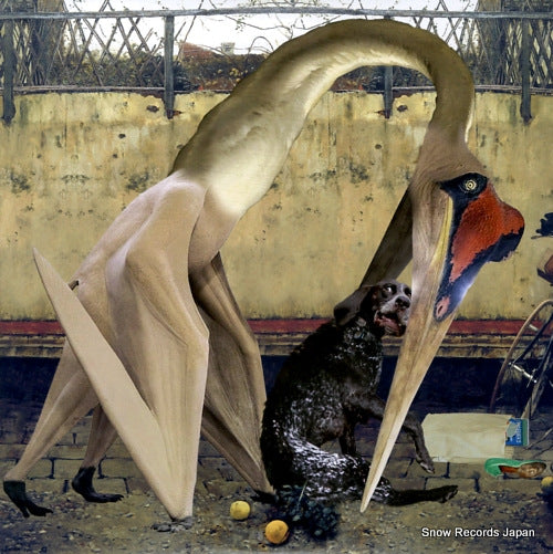 RHANDOO semantics NM023