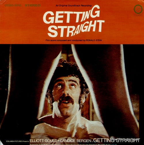 STEIN, RONALD getting straight COSO-5010