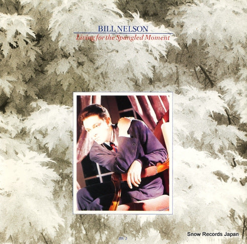 NELSON, BILL living for the spangled moment BN1