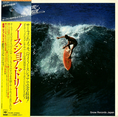 V/A the north shore dreamin' 25AP840