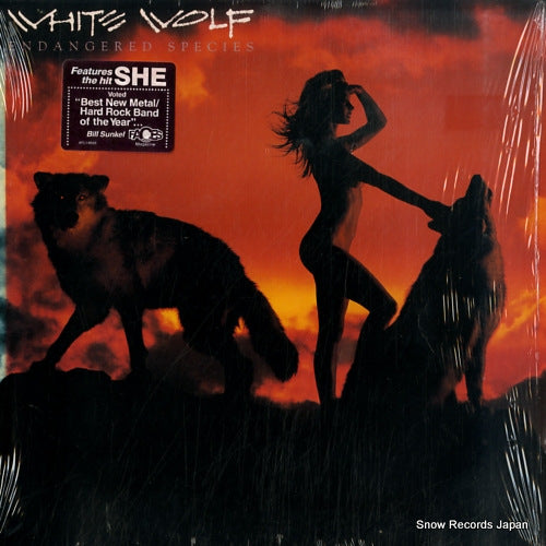 WHITE WOLF endangered species AFL1-9555