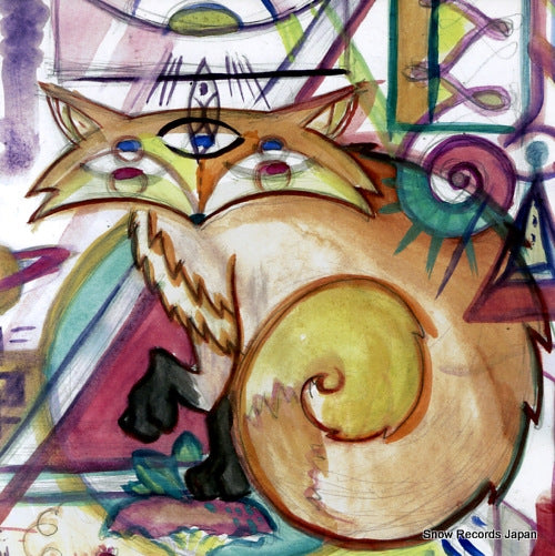 V/A anomalia magnetica del atlantico sur AMOR002