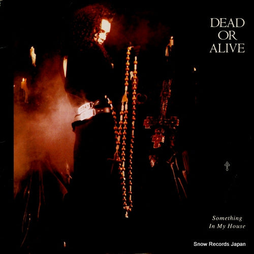 DEAD OR ALIVE something in my house 49-06750