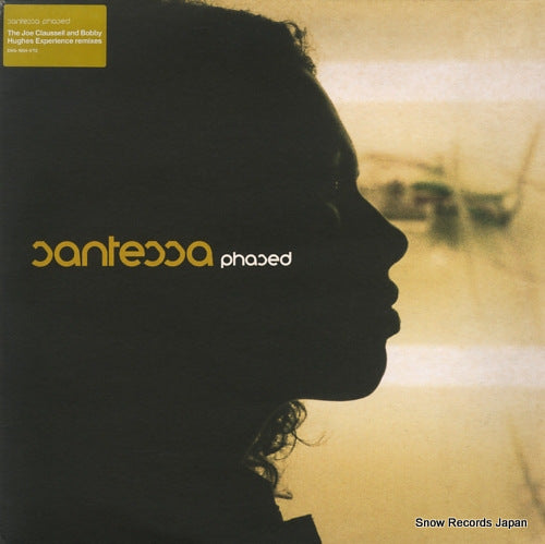 SANTESSA phased DVS-1004-VT2