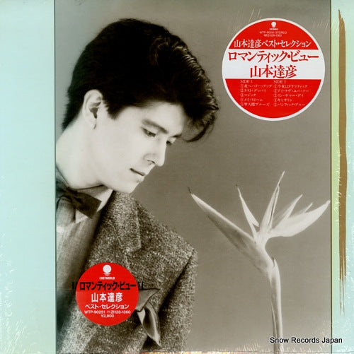 YAMAMOTO, TATSUHIKO romantic view WTP-90251