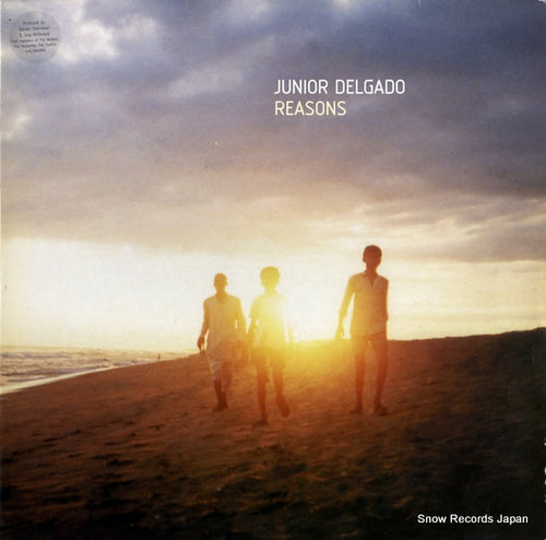 DELGADO, JUNIOR reasons ABB1007441