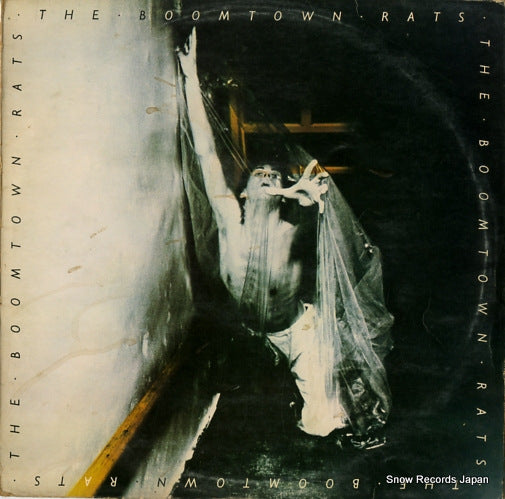 BOOMTOWN RATS, THE the boomtown rats ENVY1