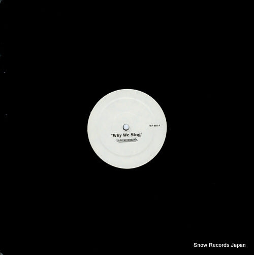 BOBIEN, KENNY / BLACK AND WHITE BROTHERS why we sing / put your hands up WP880