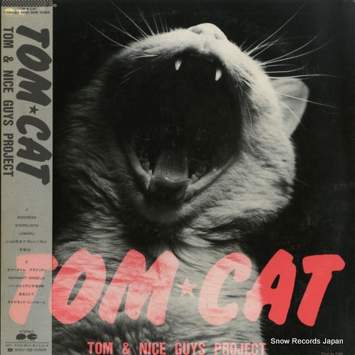 TOM CAT tom & nice guys project C28A0415